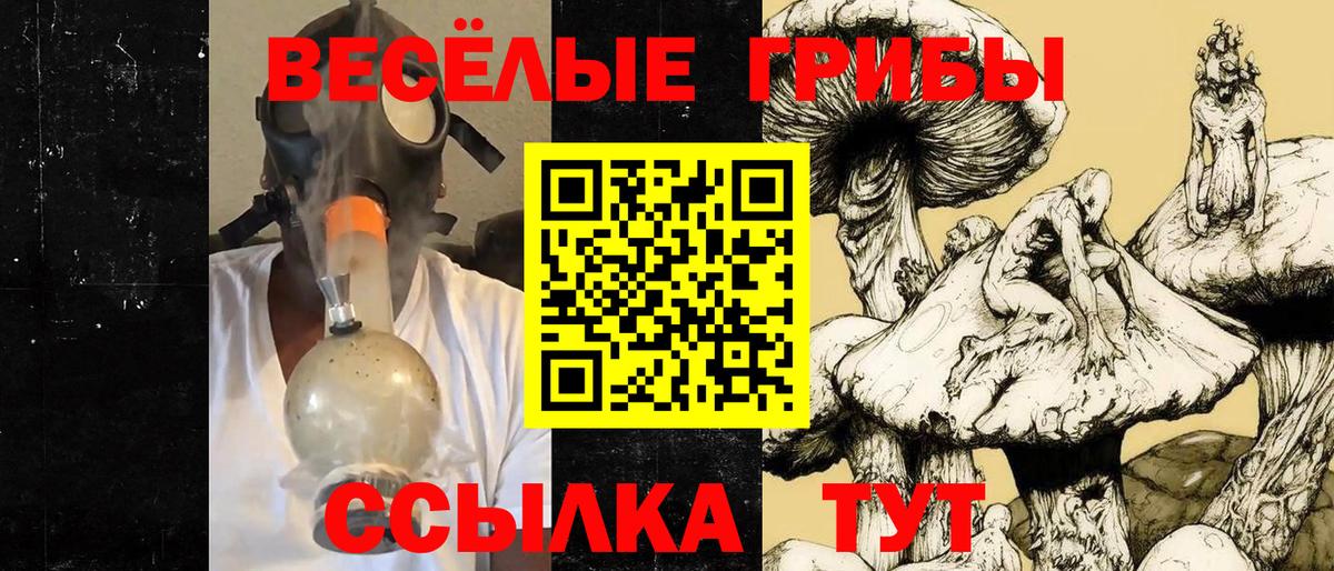 Псилоцибиновые грибы Psilocybine cubensis Камышлов